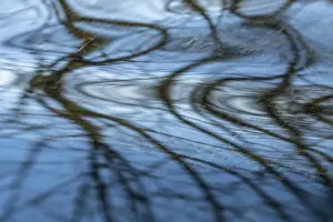 Ostersund Water Reflections Stampe: Reflection in a stream, Ostersund