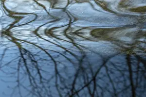 Scandinavian Cityscape Photography Stampe: Reflection in a stream, Ostersund