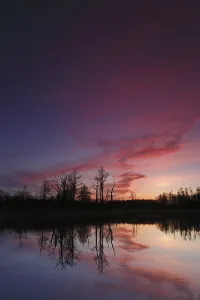 Central Europe River Course View Stampe: Reflection of trees in the water