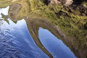 Abstract Water Reflection Stampe: Reflection in water