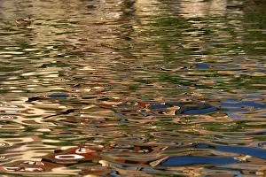 Water Surface Texture Stampe: Reflection in the water surface
