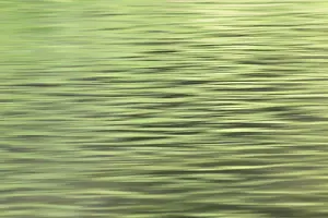 Wavy Water Surface Stampe: Reflection on a wavy water surface
