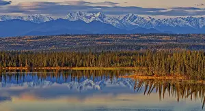 American Wilderness Scene Stampe: Reflection of the Wrangell Mtns