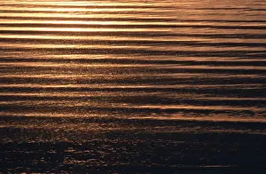 Water Surface Reflections Stampe: Reflections on water