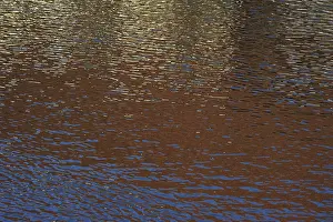 North Rhine Westphalia Germany Stampe: Reflections on a water surface