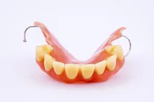Dental Prosthesis Stampe: Removable denture of an upper jaw