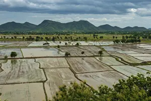 Southeast Asia Rice Cultivation Stampe: Rice fields from the temple complex