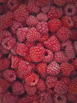 Freshly Picked Raspberries Stampe: Ripe red raspberry texture background