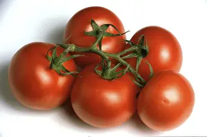 Vegetable Sorts Stampe: Ripe tomatoes