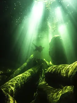 Immagini datate 27 giugno 2024: Il tuffo di fiume, subacquea, tuffi, magia.