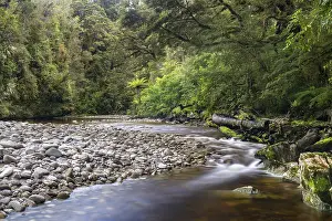 South Island Landscape Stampe: River flows through rainforest
