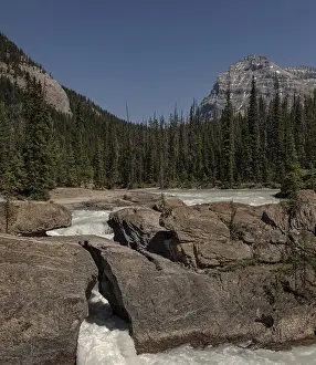 Uninhabited Riverbank Scene Stampe: River flows between rocks surrounded by pine forest