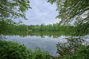 River Landscape Stampe: River landscape, reflection, tree