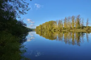 River Main Germany Stampe: River, Main, Trees, Reflection