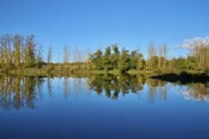 Autumn In Bavaria Stampe: River, Main, Trees, Reflection