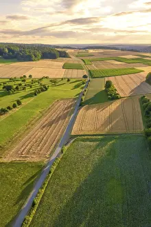 Central Europe Evening Sky Stampe: Road surrounded by fields at sunset