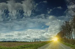 Deserted Countryside Stampe: A road surrounded by trees with sky and clouds