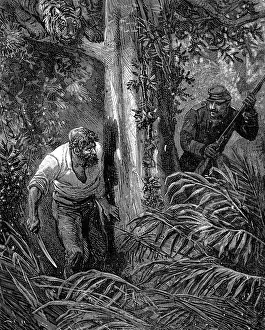 Uninhabited Island Depiction Stampe: Robinsons of Guyana. Surrender
