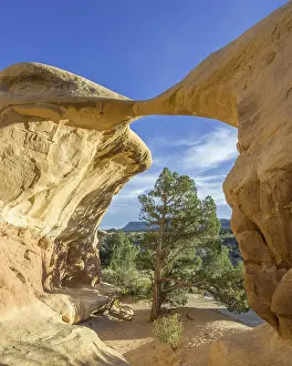 Natural Landmark In Utah USA Stampe: Rock formations in Devil's Garden