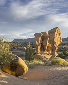 US Travel Photography Stampe: Rock formations in Devil's Garden