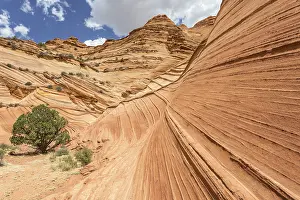 Coyote Stampe: Formazioni rocciose delle Teepees.