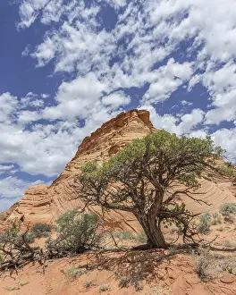 Deserted Rock Formation Landscape Stampe: Rock formations of the Teepees