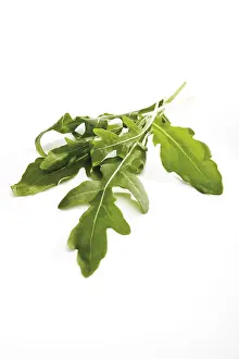 Vitamin Rich Salad Stampe: Rocket, arugula