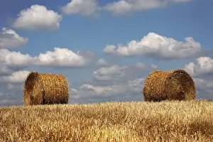 Cloudy Countryside View Stampe: Role play