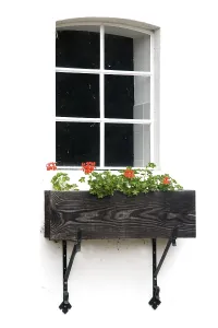 Deserted Farmhouse Stampe: Romantic window on white with geraniums