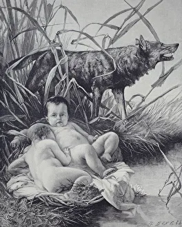 Gray Wolf Depiction Stampe: Romulus and Remus and the She-Wolf
