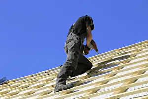 Manual Laborer At Work Stampe: Roofer or carpenter at work