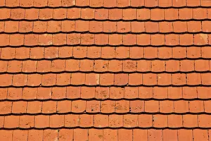 Roof Tile Patterns Stampe: Rooftiles