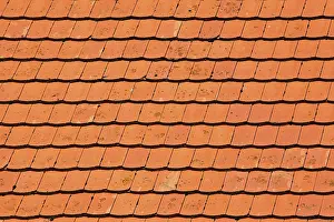 Roof Tile Patterns Stampe: Rooftiles