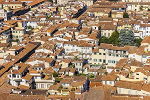 Historic Old Town Florence Stampe: Above the rooftops of Florence