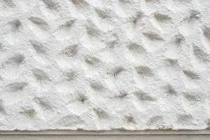 Ornate Building Structure Stampe: Roughly patterned plastered wall in detail