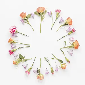 Diverse Flower Arrangements Stampe: Round frame from different flowers table