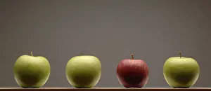 Nutrition And Feeding Tips Stampe: Row of apples