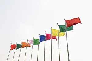 Colourful Flags Stampe: A row of coloured flags