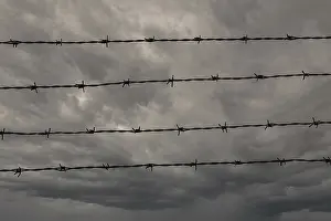 Dark And Gloomy Atmosphere Stampe: Four rows of barbed wire