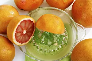 Studio Fruit Photography Stampe: Ruby grapefruit with citrus press