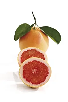 Balanced Diet Ideas Stampe: Ruby Red Grapefruit