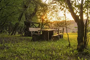German Countryside Landscape Photography Stampe: Rustic bench and table in the forest at sunset