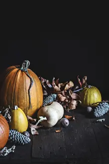 Wooden Surface Decor Stampe: A rustic display of assorted pumpkins in warm tones