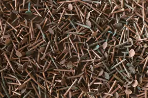 Rusty Metal Stampe: Rusty copper nails