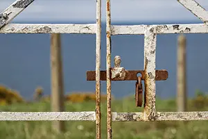Deserted Entrance Stampe: A rusty padlock on a closed gate