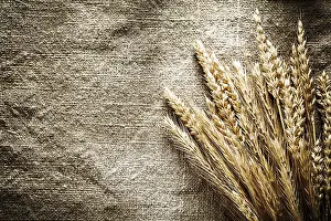 Agricultural Crops Stampe: Rye ears on sacking background