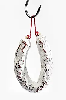 Meat Product Photography Stampe: Salami on a hook