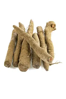 Empty Studio Backgrounds Stampe: Salsify