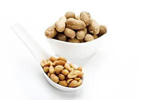 Botany Plant Life Stampe: Salted peanuts and peanuts in shell
