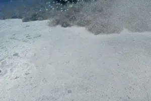 Stampe di Sabbia e particelle galleggiano nell'acqua, creando un'atmosfera nebbiosa, sepolta nella sabbia c'è una rana farfalla (Gymnura altavela), sito di immersione Faro Reef, Arguineguin, Gran Canaria Raggio Farfalla Stampe: Sabbia e particelle galleggiano nell'acqua.